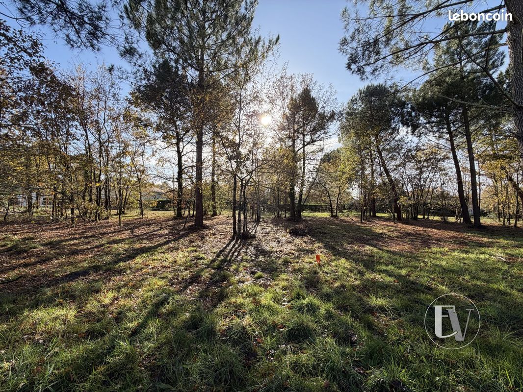 Terrain 1533 m² · à Gujan-Mestras · 1 533 m² · 640 000 €