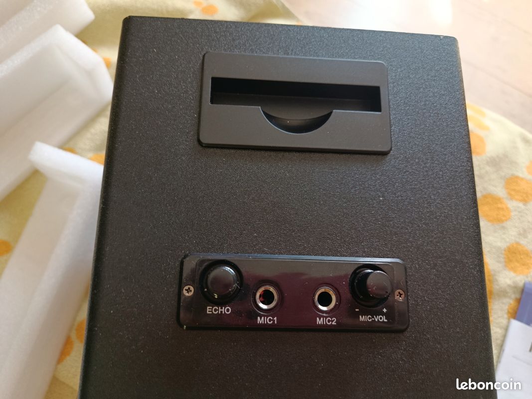 Enceinte avec 2 micros (image 5)