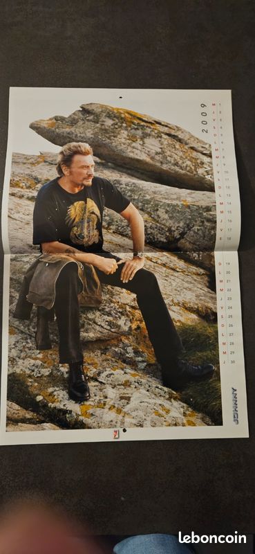 Calendrier johnny hallyday 2009 (image 3)