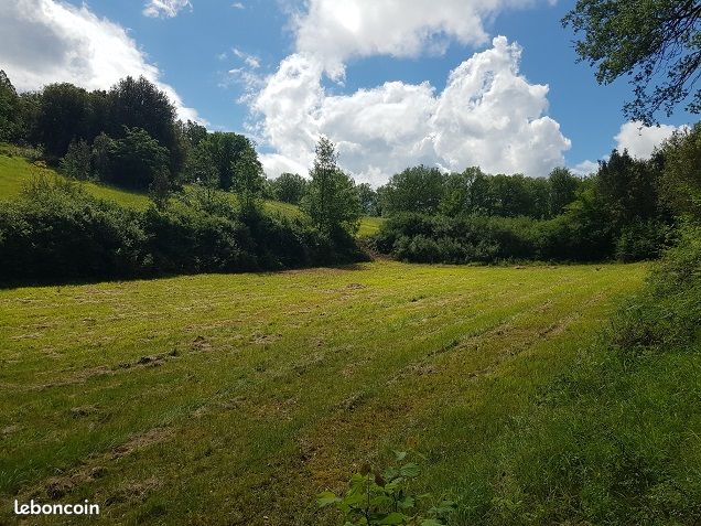 Terrain de 22 hectares avec ruine de pierre · à Pechs-de-l'Espérance · 95 000 €