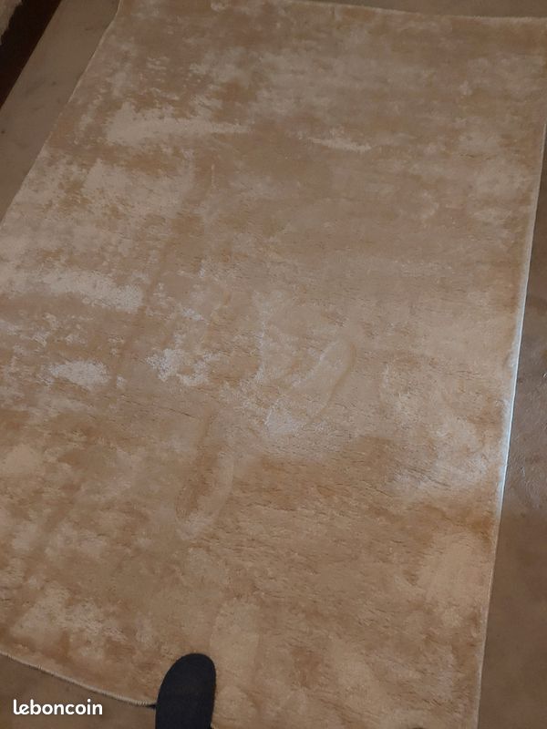 Tapis beige tres clair, tres doux (image 1)