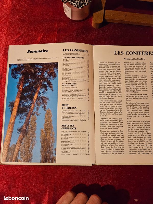 Les conifères dans le jardin livre revue (image 3)
