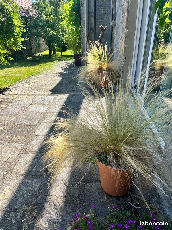 Gîte Roc & Gravillon (image 7)