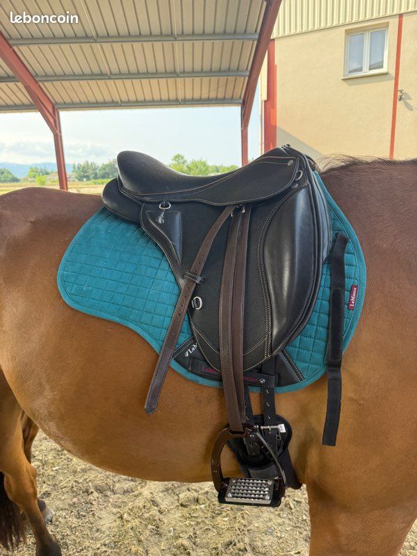 Selle d'endurance Exclusive personnalisable, sellerie Horse and Co