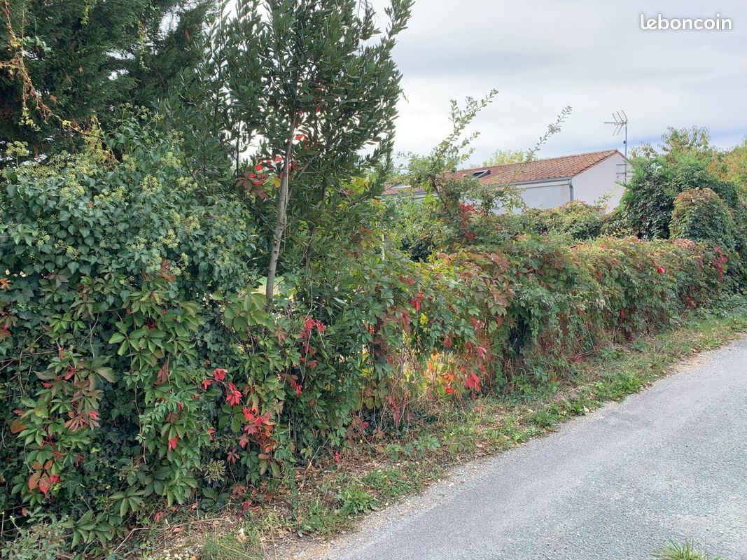 Terrain à bâtir de 325 m2 au prix de 24650 à CHANIERS (17) · 24 650 €