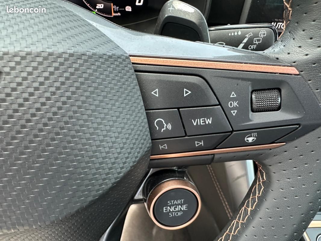 Cupra Formentor 2.0 TDI 150 ch DSG7 V (image 14)