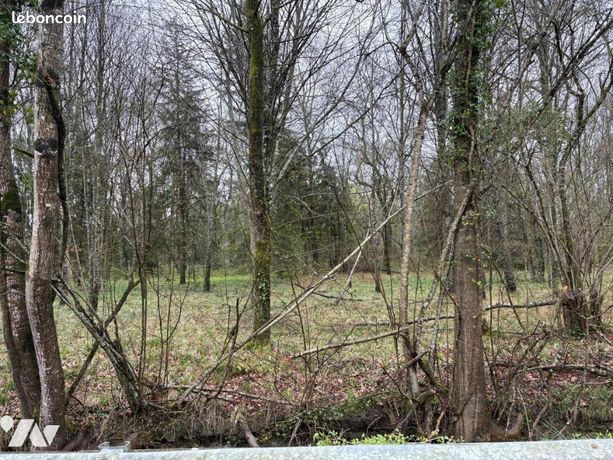 Terrain 49799 m² BELLEVILLE