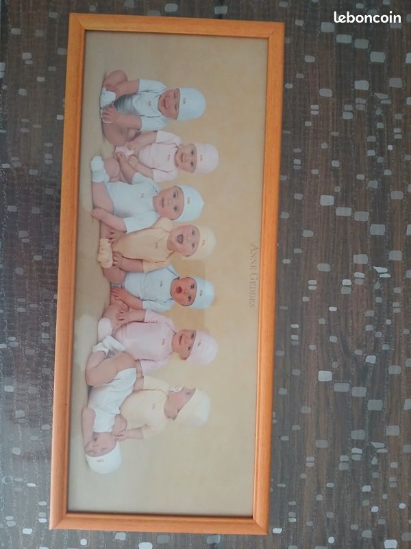 Tableau de ANNE GEDDES (image 1)