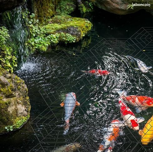 20 Protections flottantes pour bassin, etang ou aquarium– Dispositif Anti-héron ou oiseau ou rapace en Plastique avec Clips de Fixation type toile araignée (image 1)