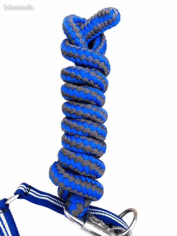 Couleur Bleu Roi Et Blanc Licol En Corde Naturelle Cwell Equine