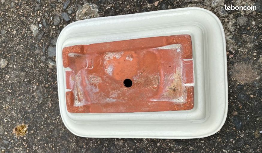 Pot à bonsaï (image 3)