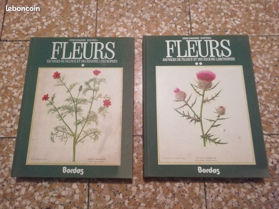 Livres Fleurs Sauvages de France et des Régions Limitrophes (image 1)
