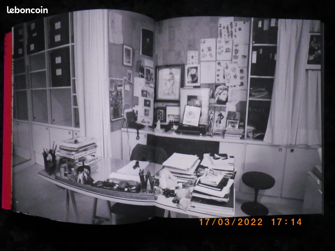 Livre Yves Saint Laurent (image 2)