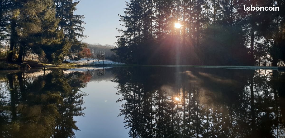 Un petit air du Canada? · à Loupfougères · 25 000 €