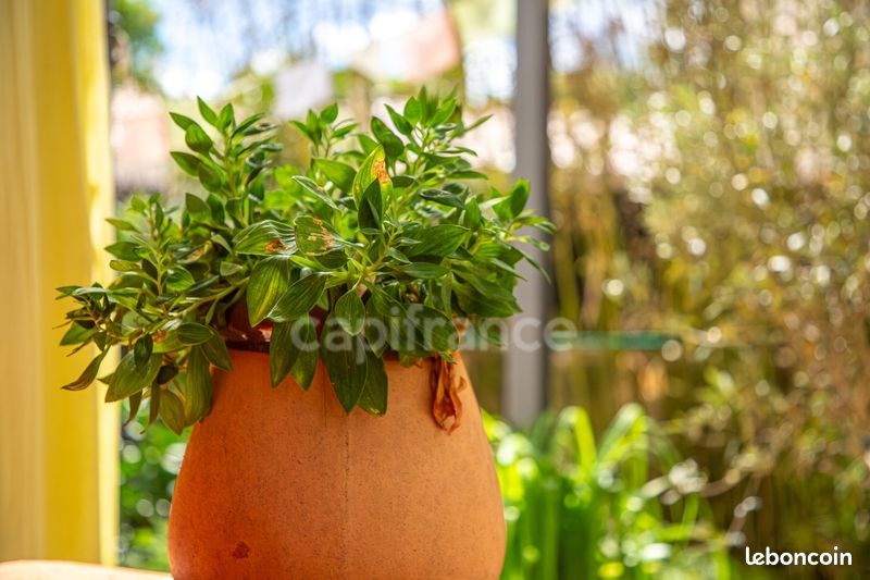 Maison 3 pièces 114 m² · à Uzès · 114 m² · 310 000 €