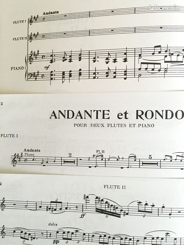 Doppler - Andante et Rondo - 2 flûtes et piano (image 3)