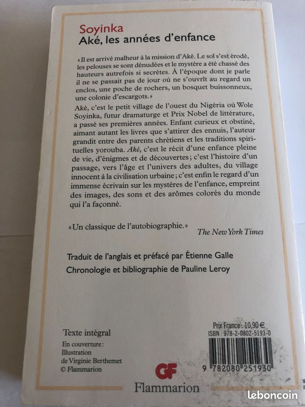 Soyinka Ake les années d’enfance (image 2)