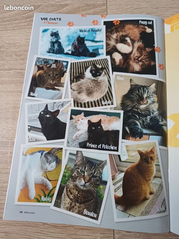Magazine Mon Chat (image 9)