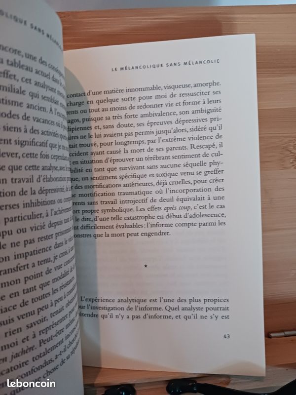 Le Mélancolique sans mélancolie - 9782879295688
Christian David (image 5)