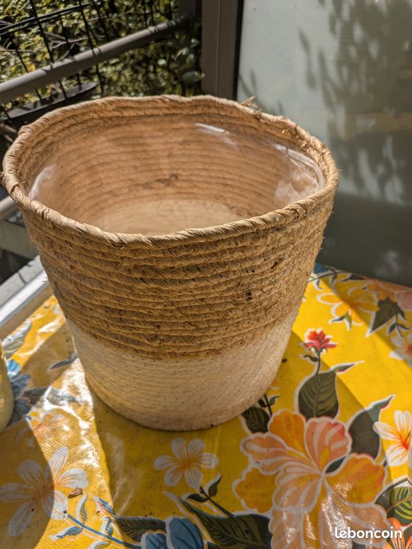 Pots et cache pot plantes (image 2)