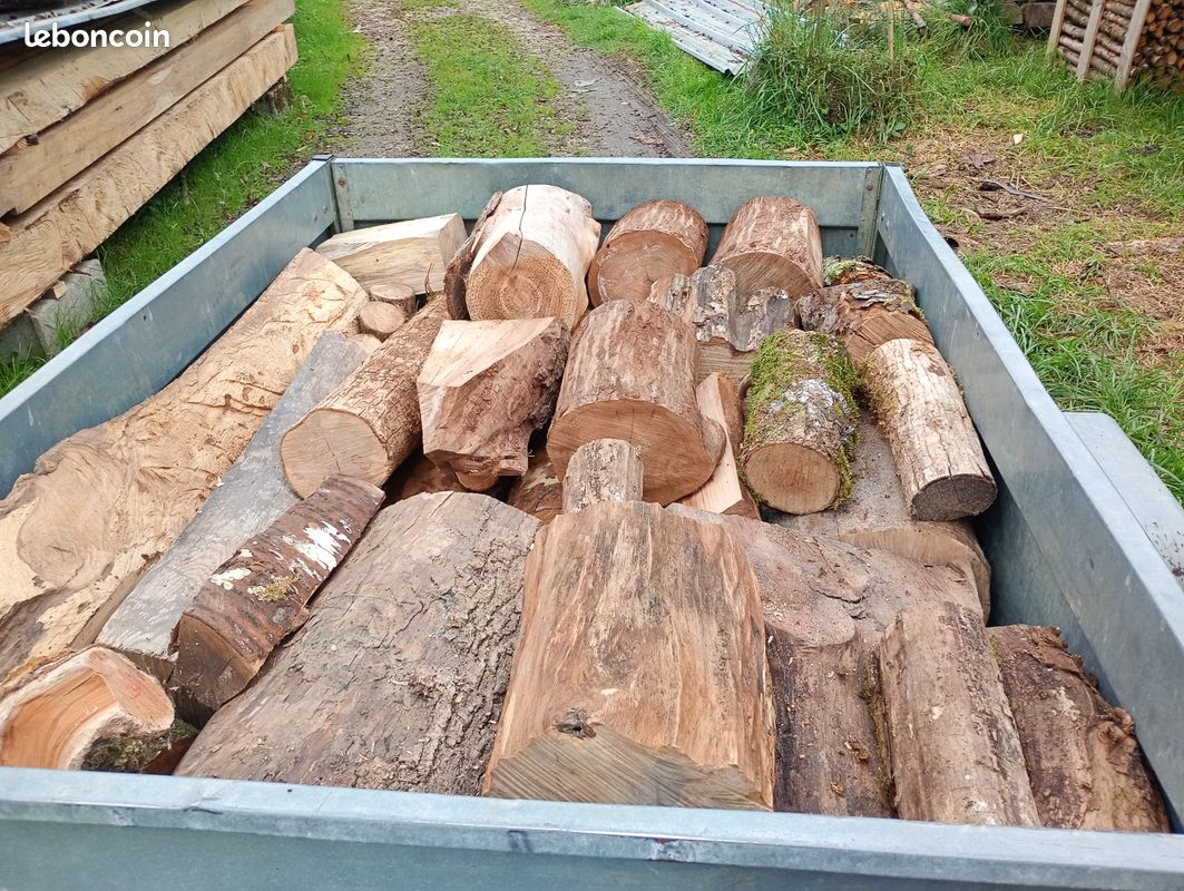 Bois pour sculpture ou tournage - Aulne, Noyer noir, bois échauffés et autres (image 12)