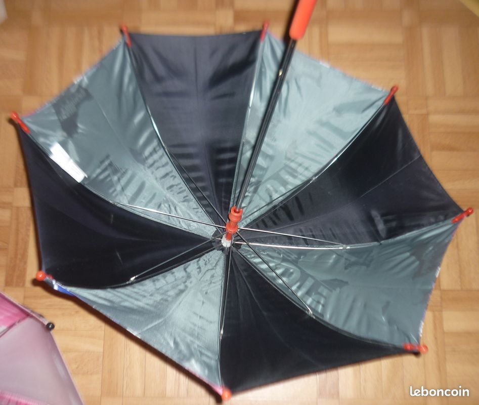 Parapluie Transformer (image 3)