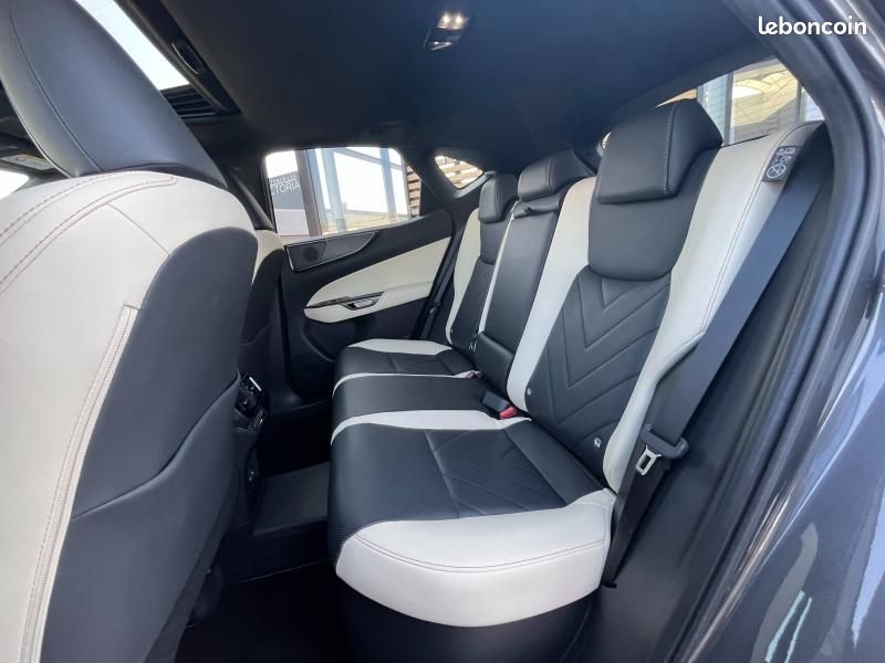 Lexus NX 450h+ Executive 4WD MY24 (image 21)