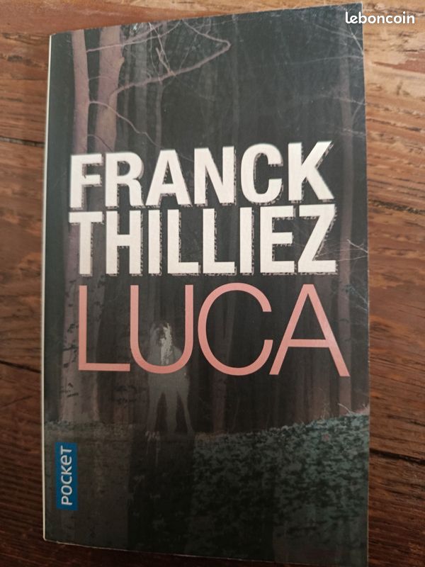 Livres poches thriller Franck Thilliez (image 9)