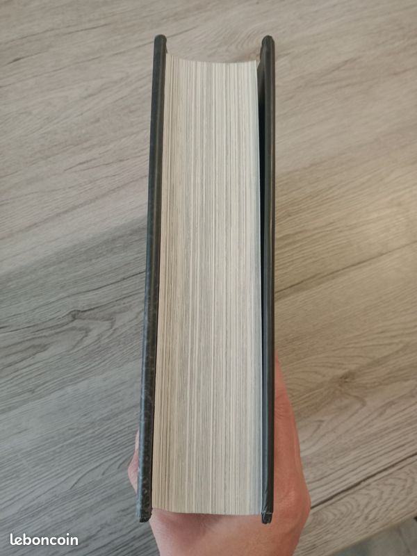 Livre 'la première guerre mondiale au jour le jour ' (image 4)