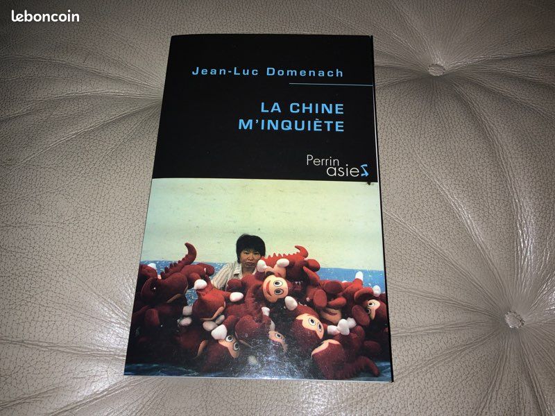 La Chine m’inquiète (image 1)