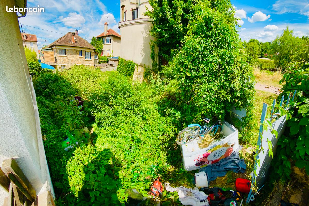 Élagage • Abattage • Taille de haies • Débroussaillage • Entretien jardin• crédit d’impôt • Cesu (image 8)
