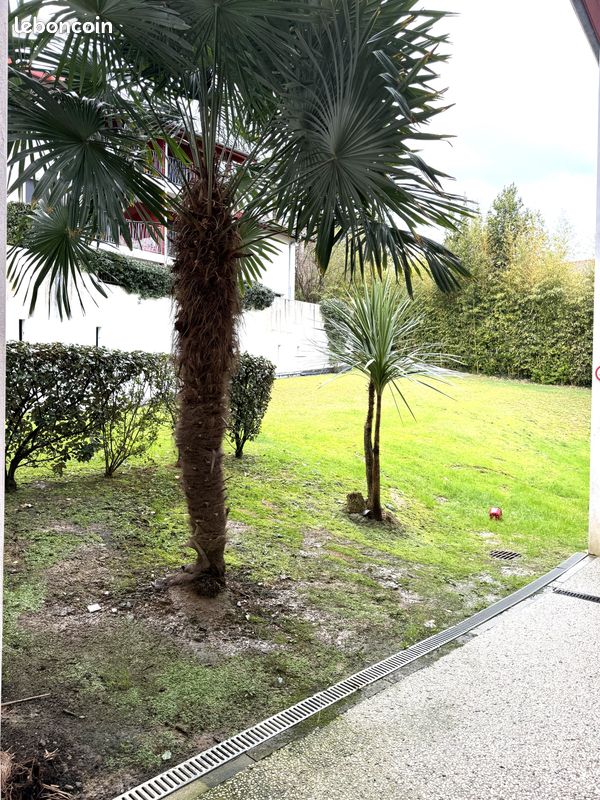 Appartement 2 pièces 38 m² · à Hendaye · 38 m² · 190 000 €