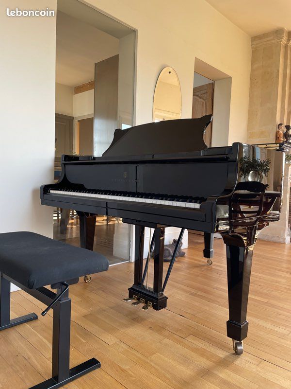 Piano Steinway Hamburg 2004 (image 3)