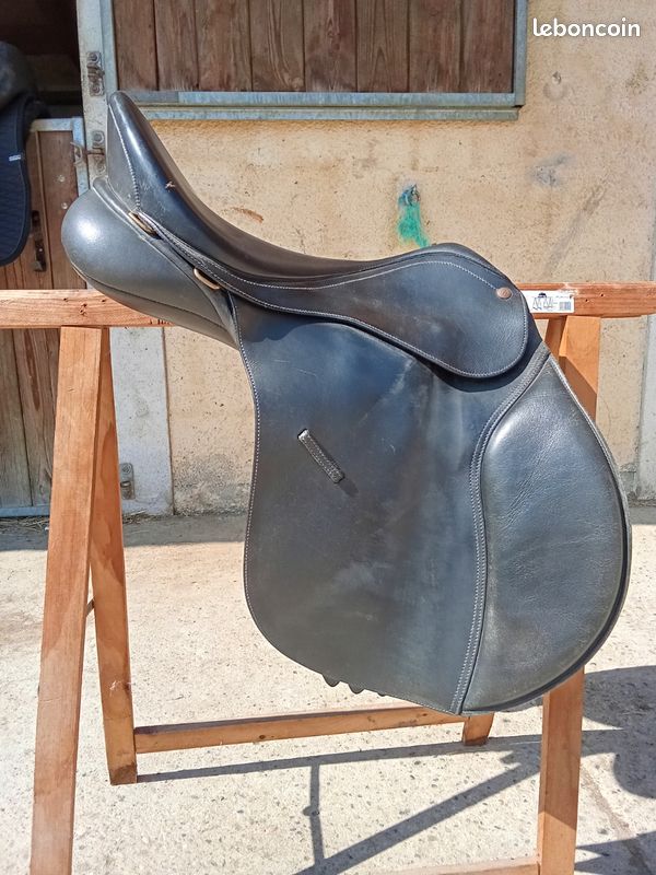 Selle mixte Bates Caprilli 17,5" (image 1)