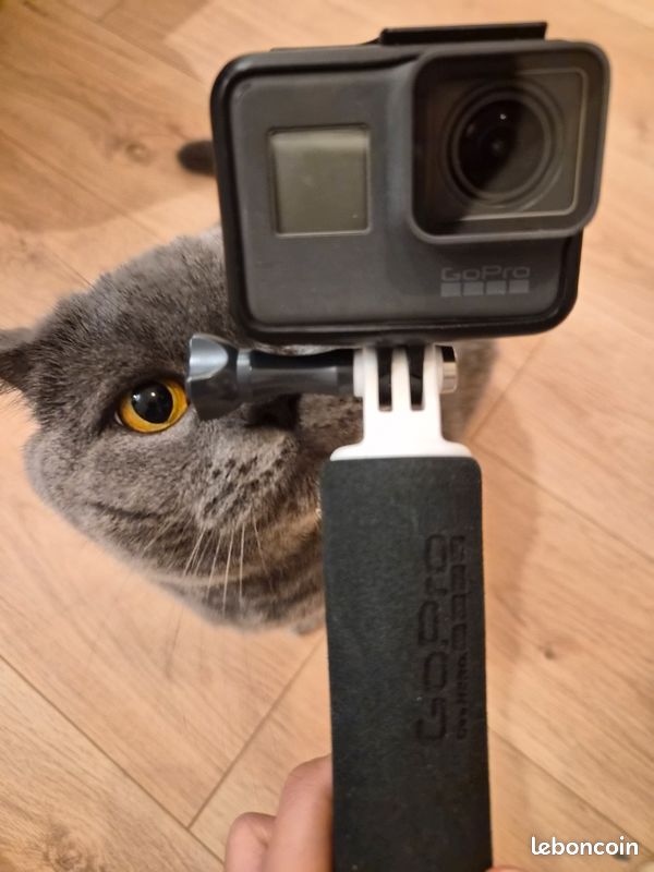 Gopro camera (image 1)