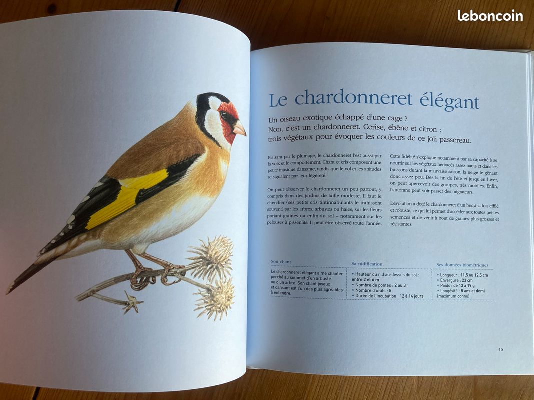 Les oiseaux de mon jardin. Les reconnaître, les accueillir (image 6)