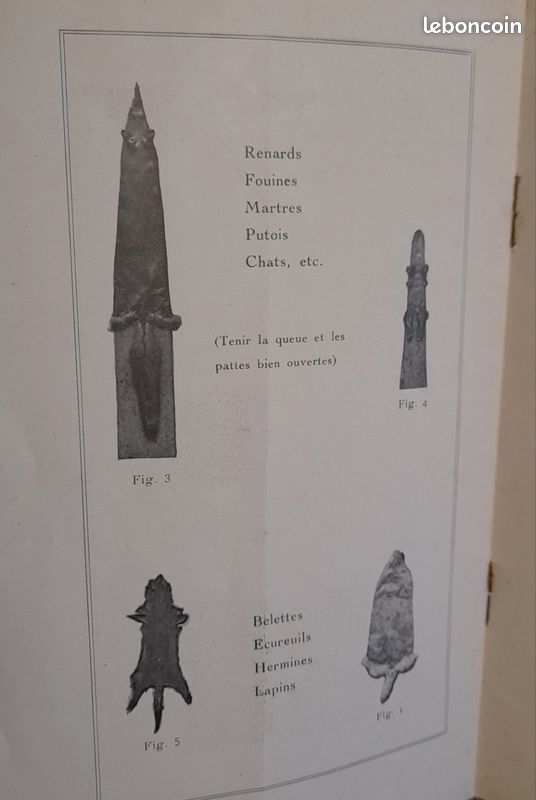 Livre ancien LES SAUVAGINES RICHARD MILLET (image 5)