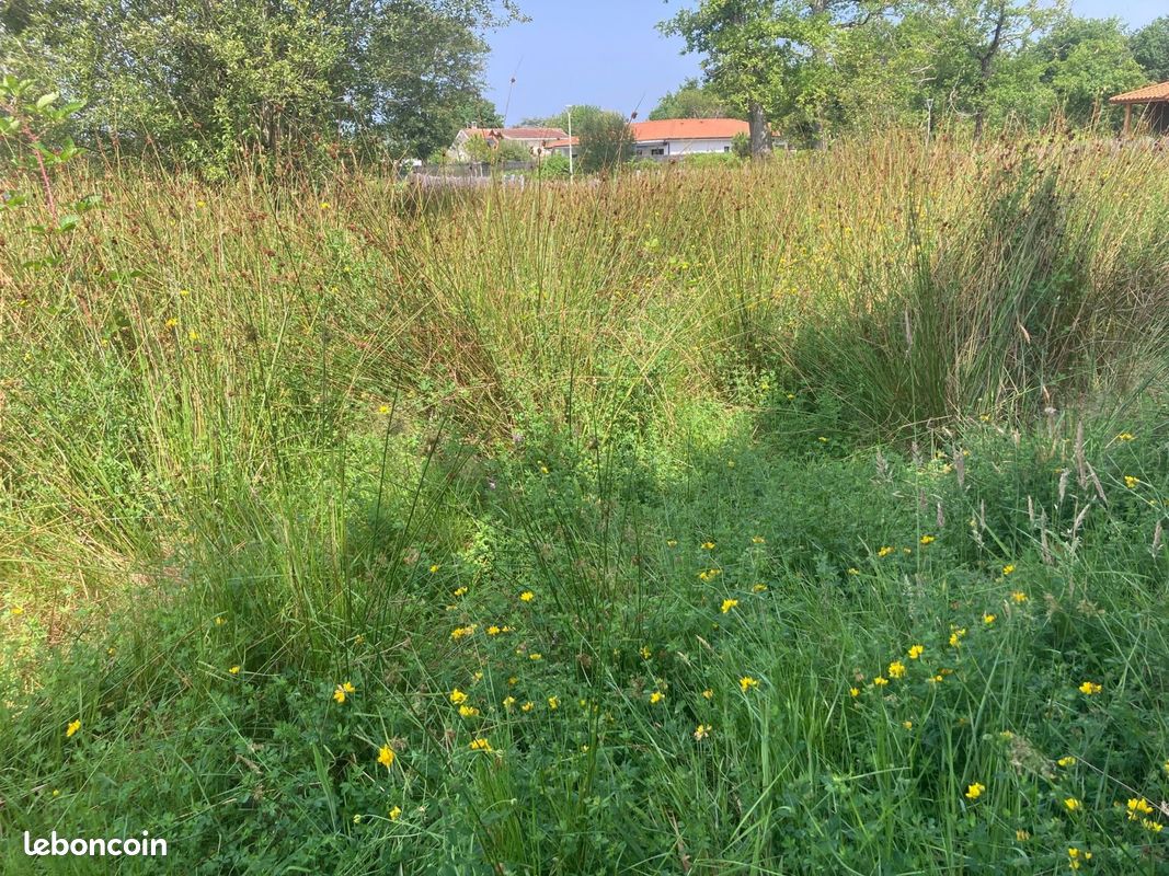 Terrain à bâtir de 530 m² à BISCARROSSE (40) · 183 000 €