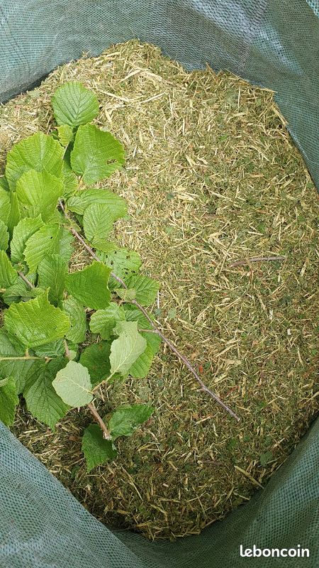 🌿Copeaux (BRF) pour paillage🍁 (image 3)