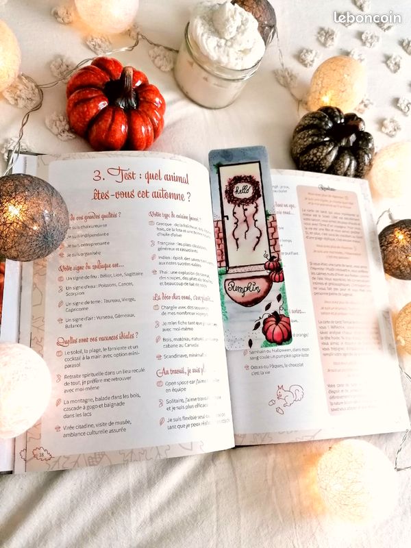 Marques pages automne (image 5)