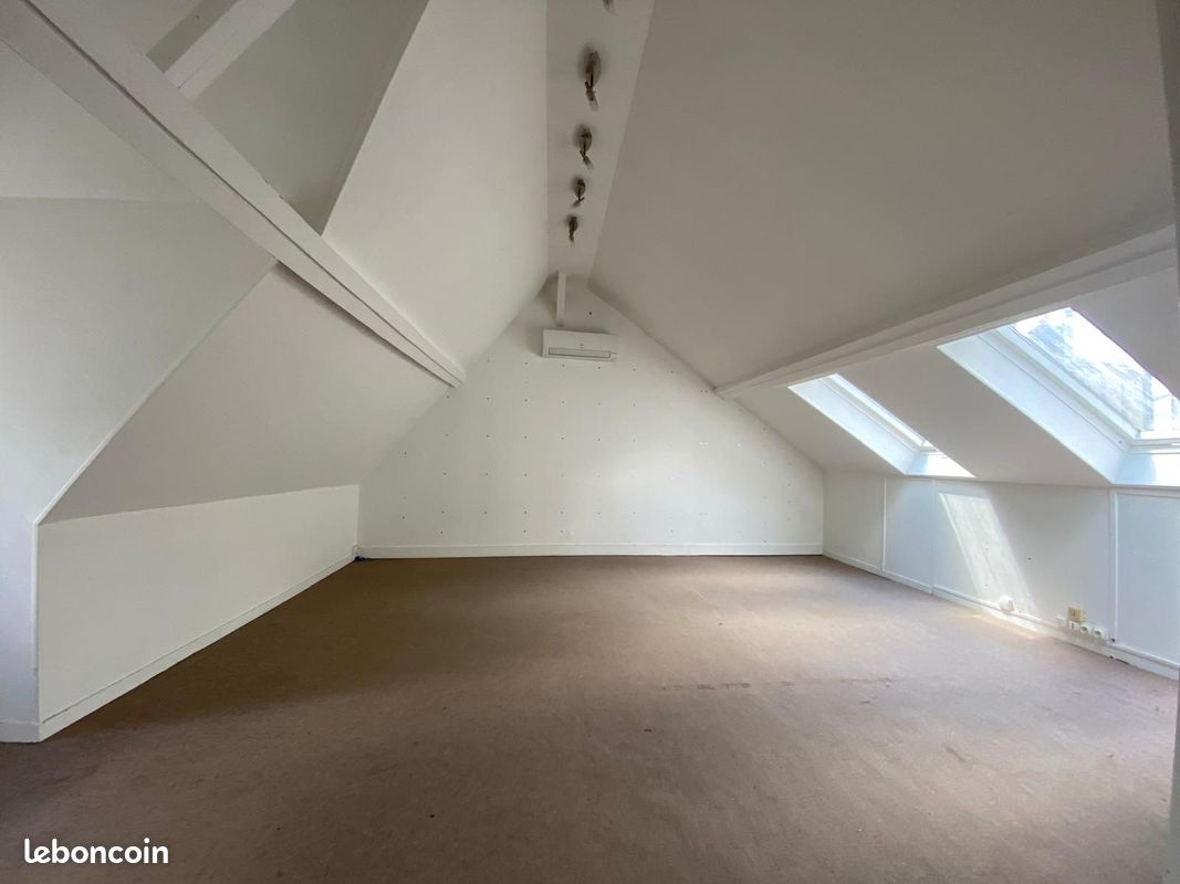Duplex 11 pièces 280 m² (image 4)
