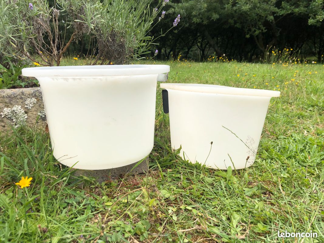 Mangeoires blanches pour chevaux (image 4)