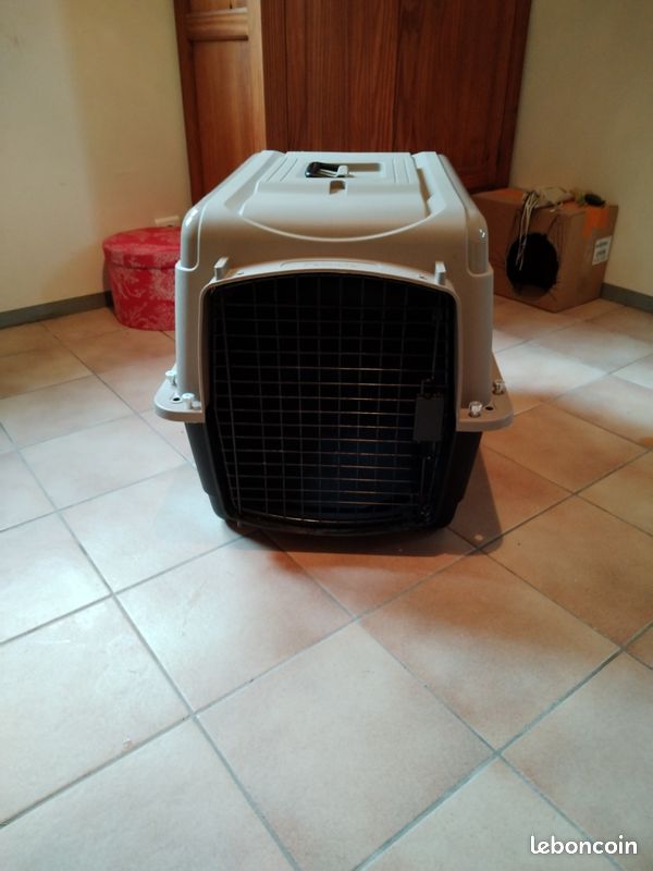 Vente boite de transport pour chien ou chat (image 1)