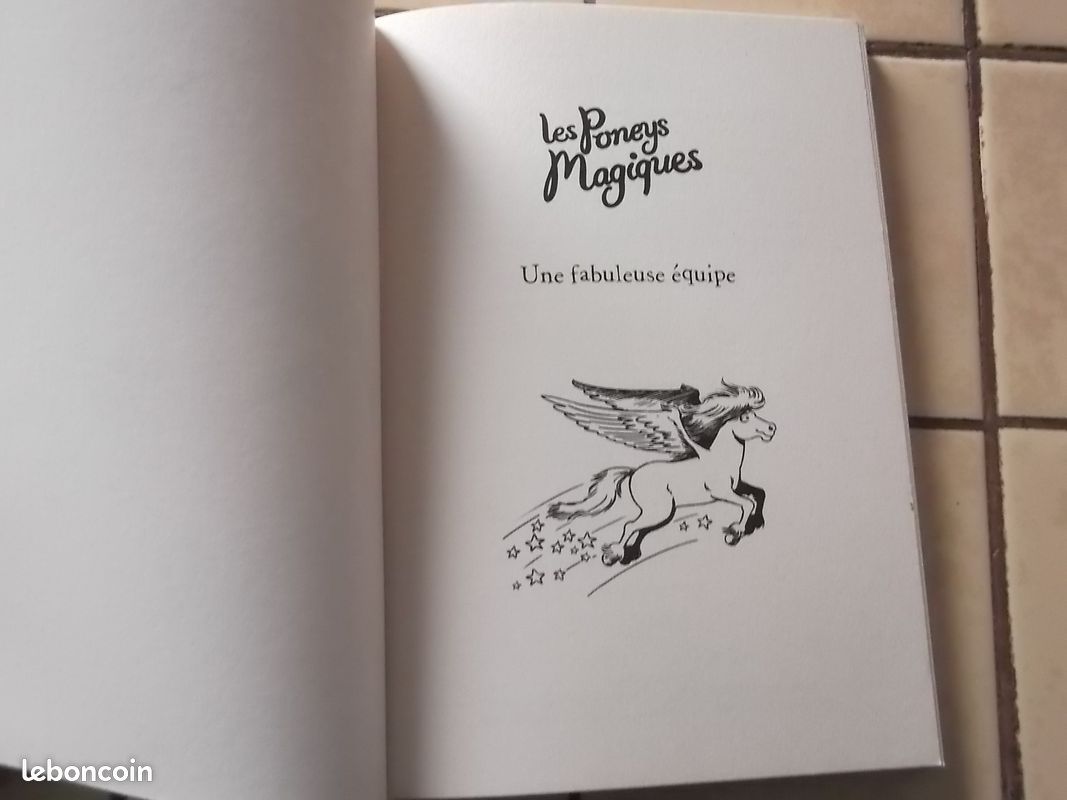Les poneys magiques une fabuleuse équipe tome 13 (image 4)