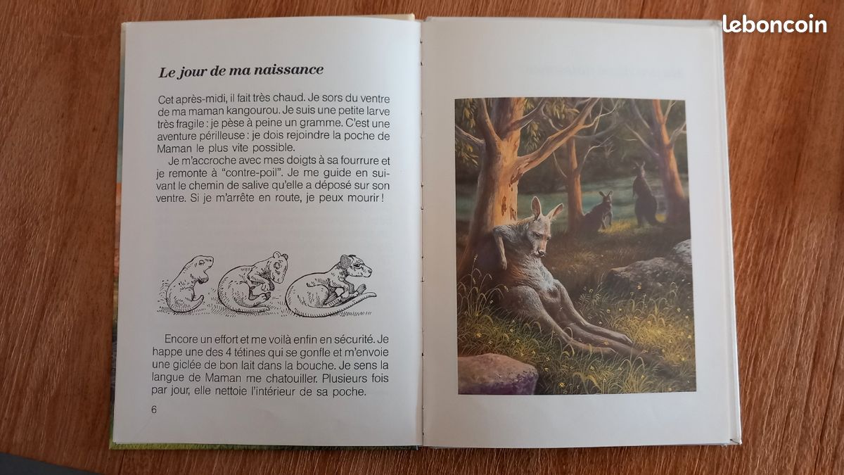 Lot de 3 livres "Ma vie de lion / kangourou / éléphant (image 5)