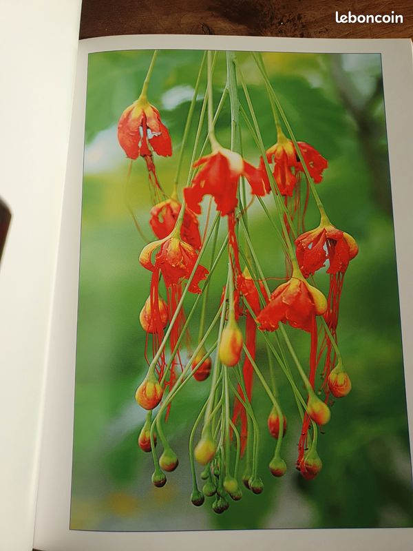 Livre d'art " Serendipity" (image 4)