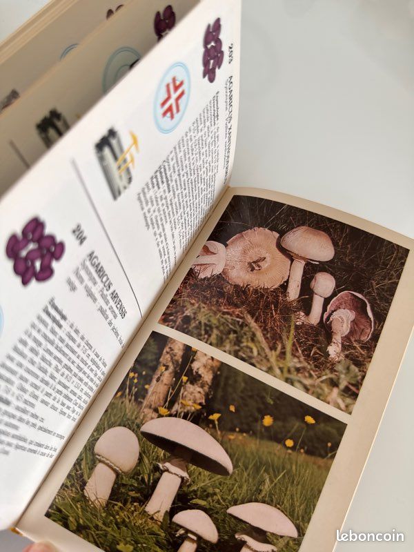 Un Guide Nathan sur les champignons couverture marron (image 11)