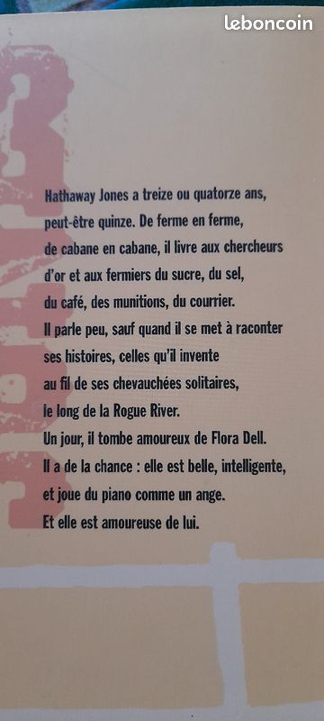 Hathaway Jones une histoire du Far West (image 2)
