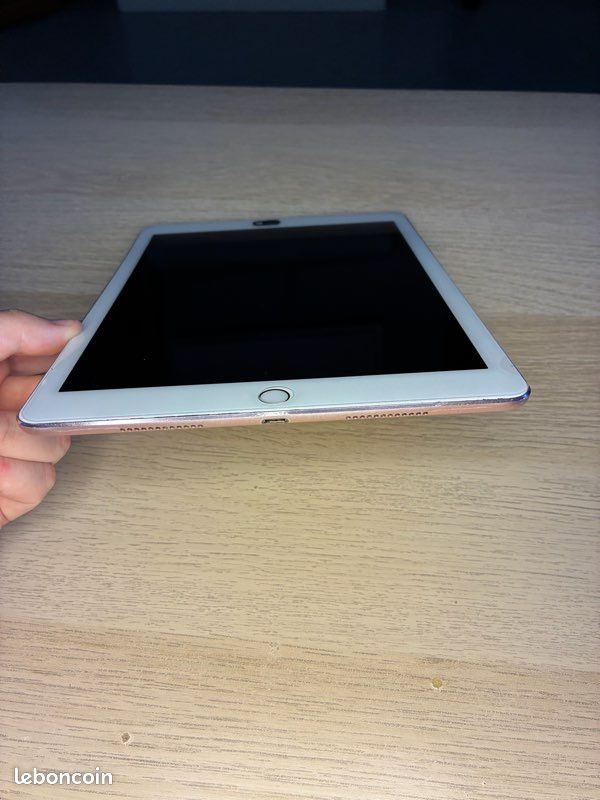 IPad Pro (image 4)