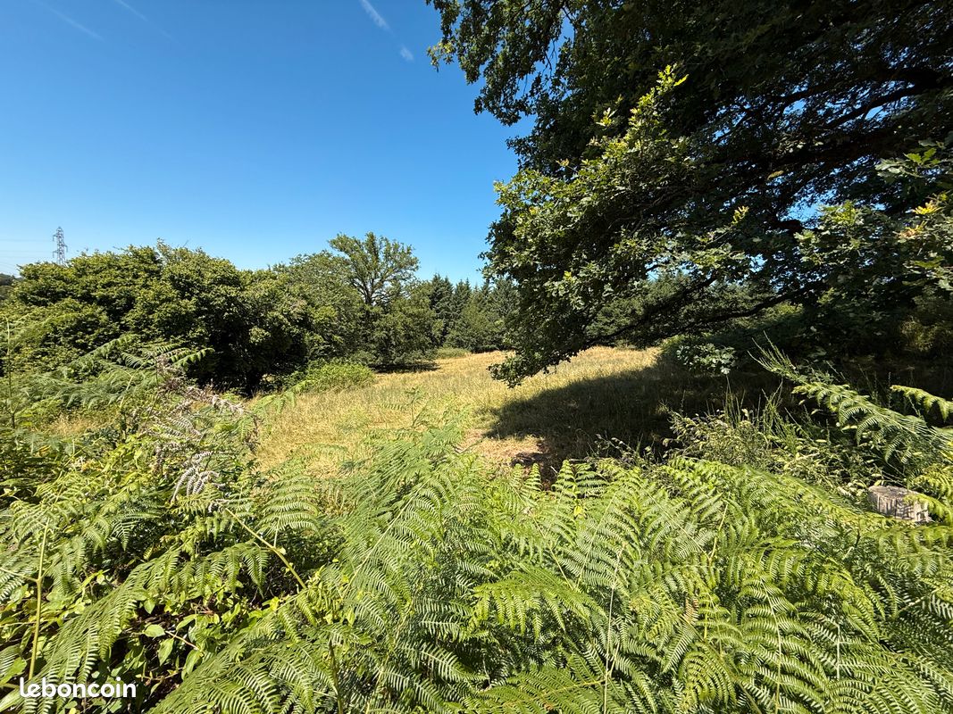 Terrain avec CU opérationnel · à Peyrilhac · 29 500 €